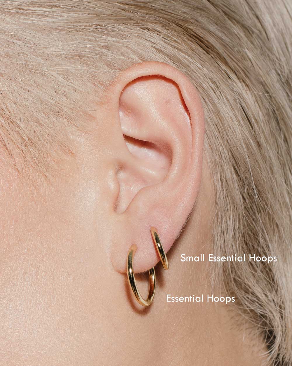 heroyne Small Essential Hoops 18k Gold Vermeil 5