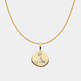 Fische - Sternzeichen Diamant Kette