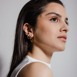 Classic Hoops