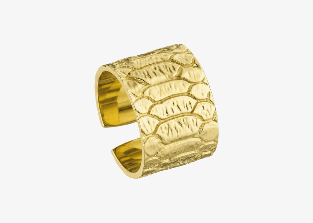Python Ring